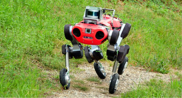 robot-ne-chuong-ngai-vat